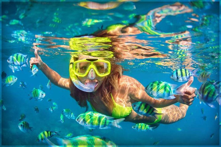 Discover the Hidden Gems of Rose Pearl & Athol Island: A Comprehensive Guide