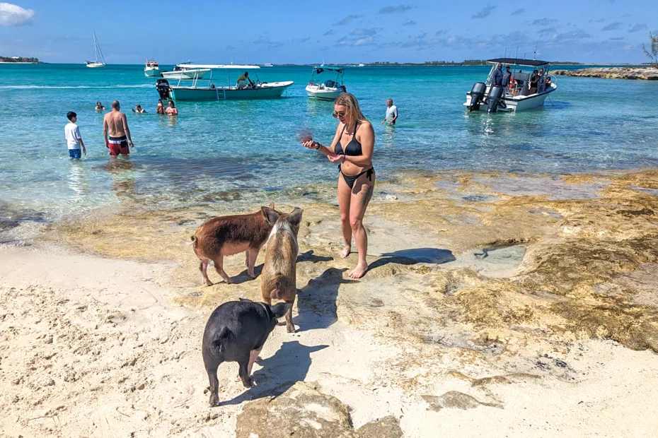 Rose Island Day Trip: Your Complete Guide to Nassau's Hidden Paradise (2025)